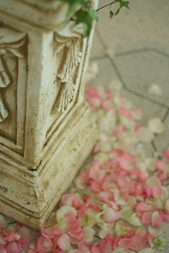 Wedding Decorations