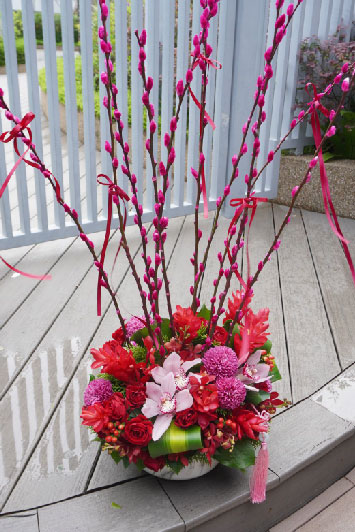 CNY05- Abundance 