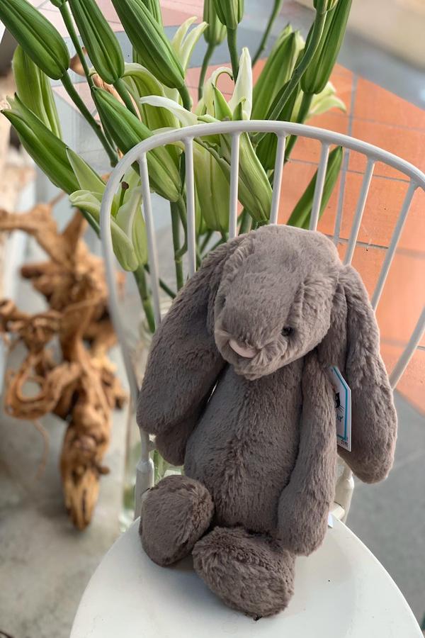 bashful truffle bunny