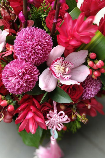 CNY05- Abundance 